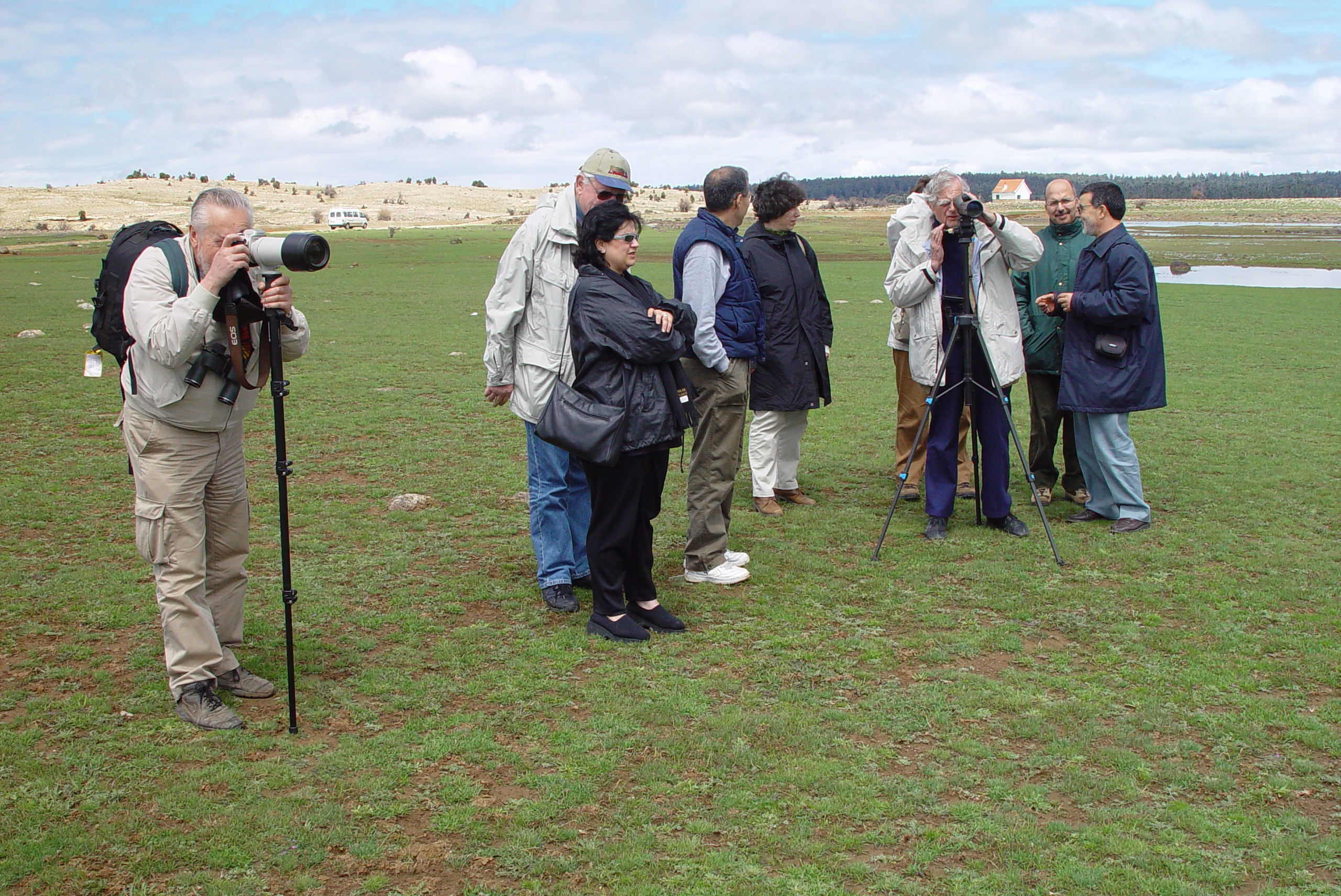  Feu Luc Hoffmann dans le site Ramsar Aguelmam Afennourir Région d'Azrou Maroc avril 2002