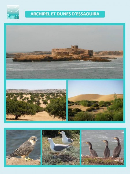 Sites RAMSAR Marocain GREPOM/BirdLife Maroc