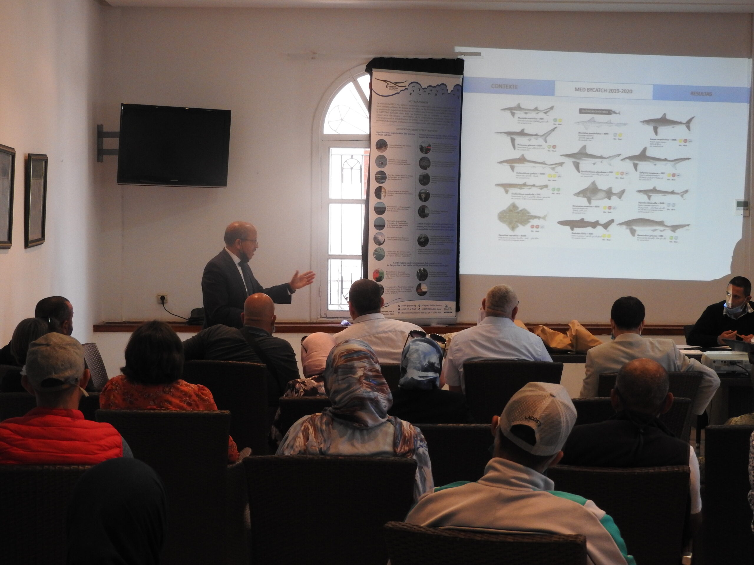 Le Vautour fauve se reproduit au niveau du SIBE Jbel Moussa au Maroc après 40 ans d’absence