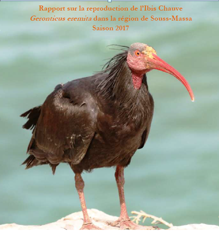 Le GREPOM-Birdlife Maroc encadre la création de la coopérative SELARACHE