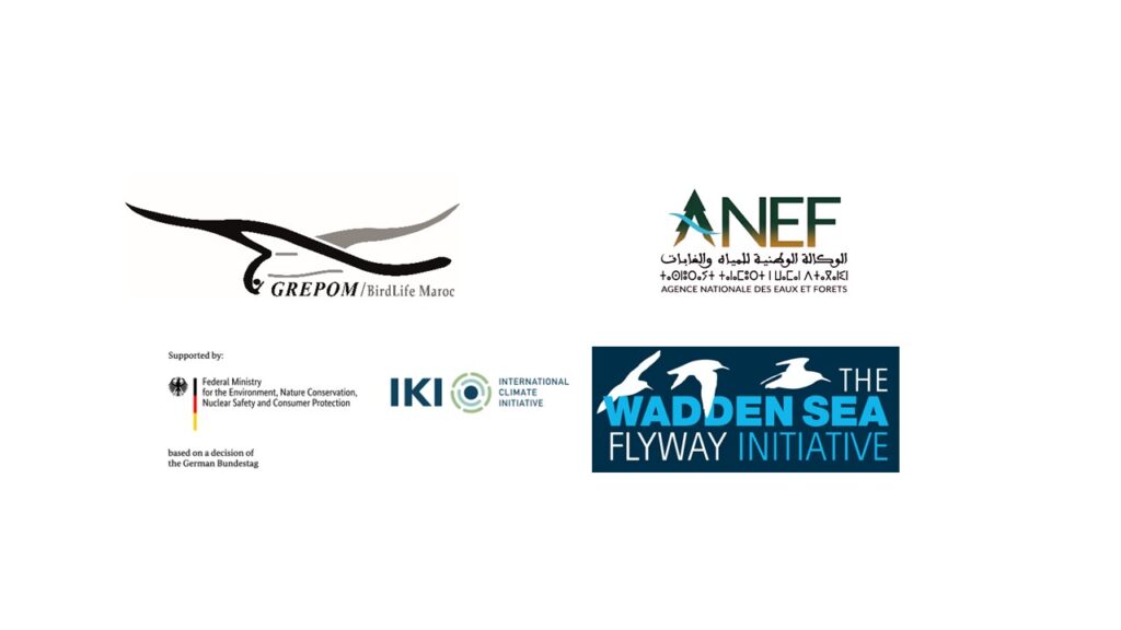 Le projet est financé par l’International Climate Initiative (IKI), du gouvernement fédéral allemand et pilotée par le Common Wadden Sea Secretariat (CWSS). Au Maroc, il est mis en ouvre par le GREPOM/BirdLife Maroc en partenariat avec l’Agence Nationale des Eaux et Forêts (ANEF).