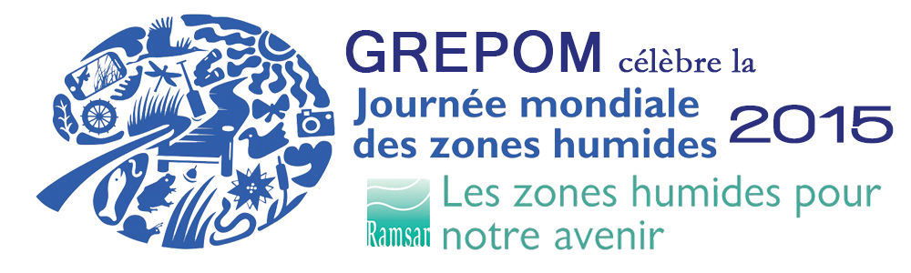 Du 19 au 21 février GREPOM BirdLife, l’Institut Scientifique de Rabat et la ville de Larache célèbrent la Journée Mondiale des Zones Humides 2015